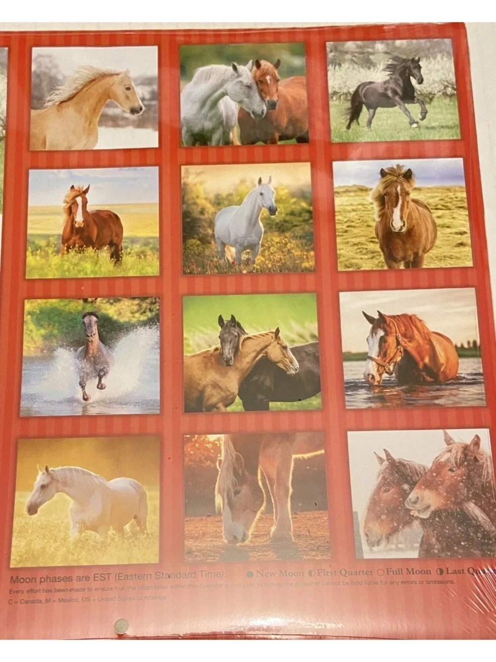 2025 Horses 16-Month Wall Calendar 11 x 10 Inches Sealed New.